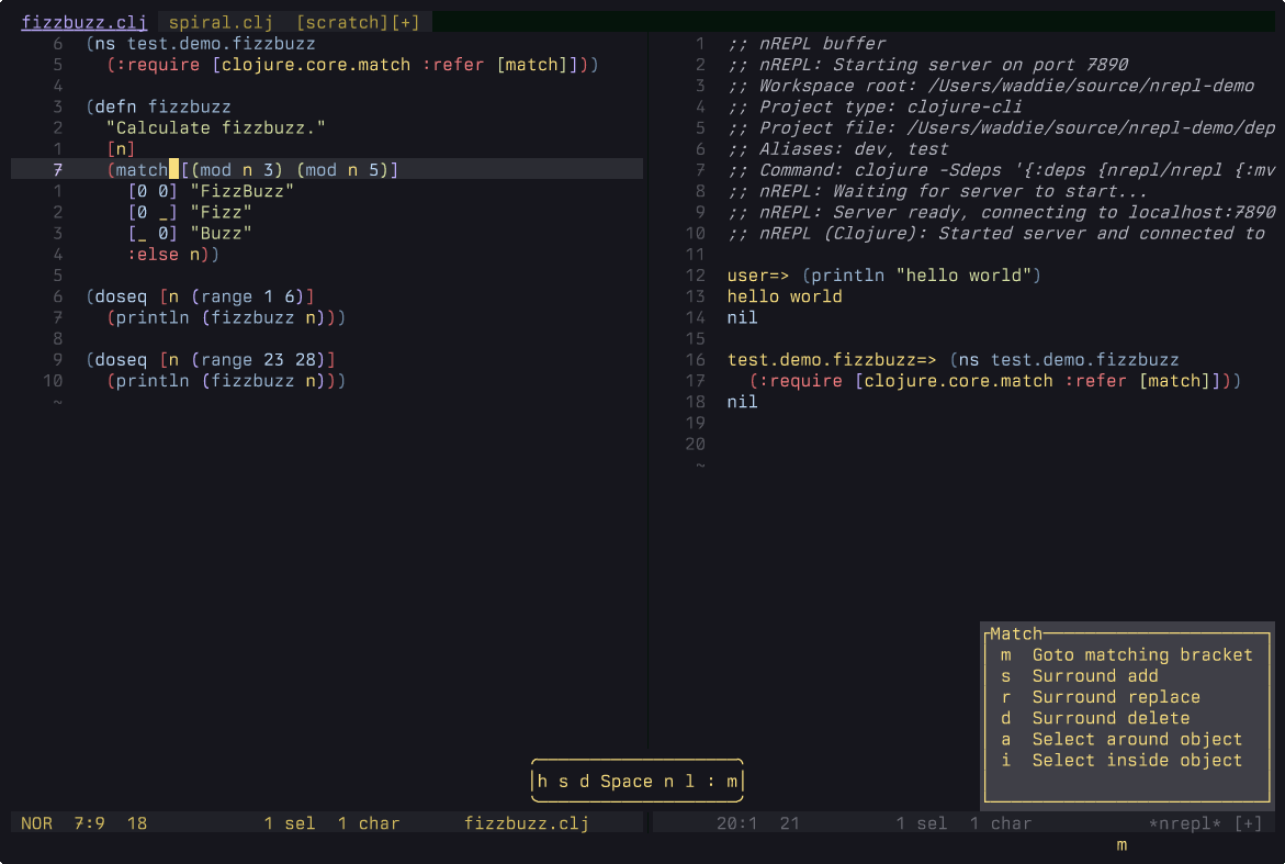 Evaluating code in nREPL.hx